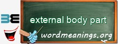 WordMeaning blackboard for external body part